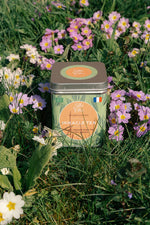 MIRACLE TEA - THÉ VERT, FAIBLE EN CAFÉINE, STIMULE L'IMMUNITÉ